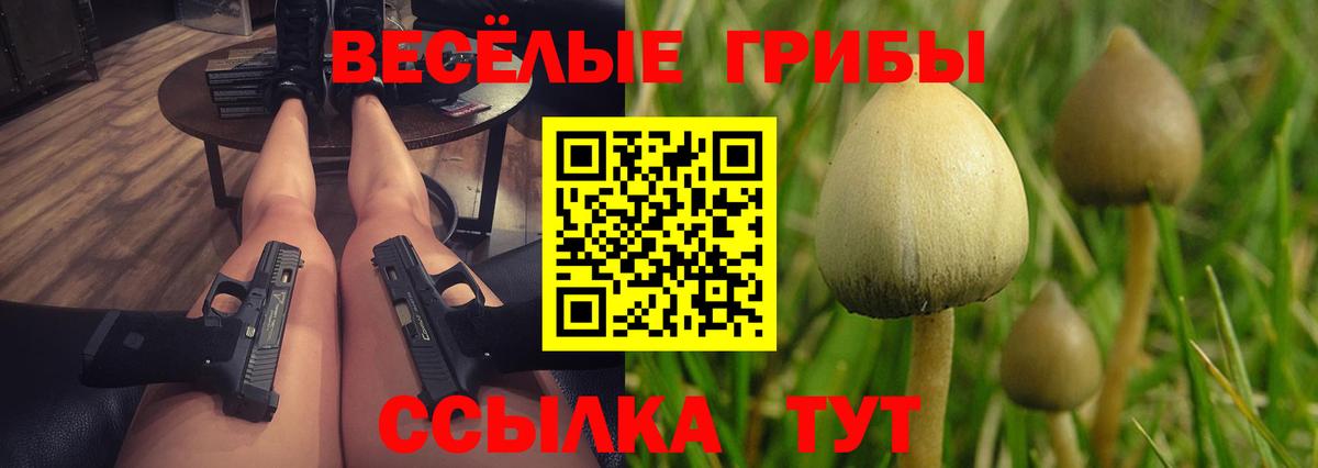 Сухой Лог  Галлюциногенные грибы Cubensis  Вход с VPN 